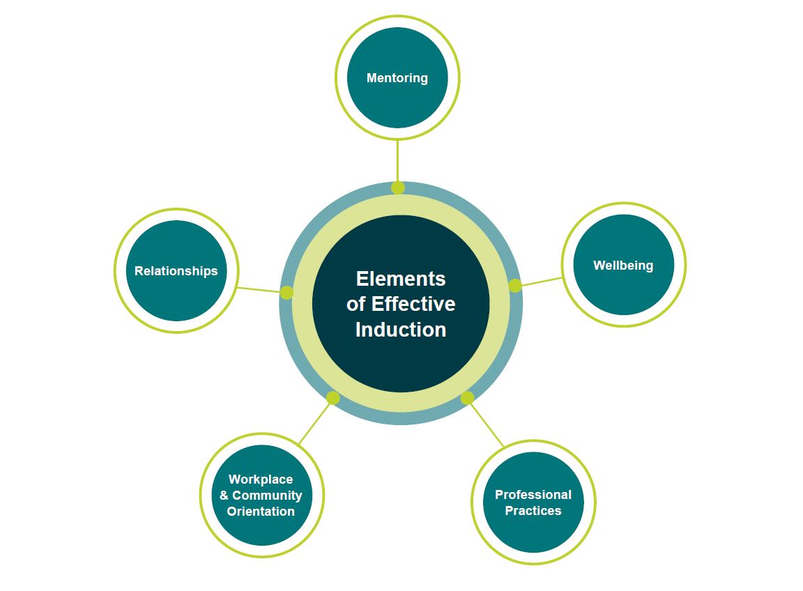 elements of effective induction